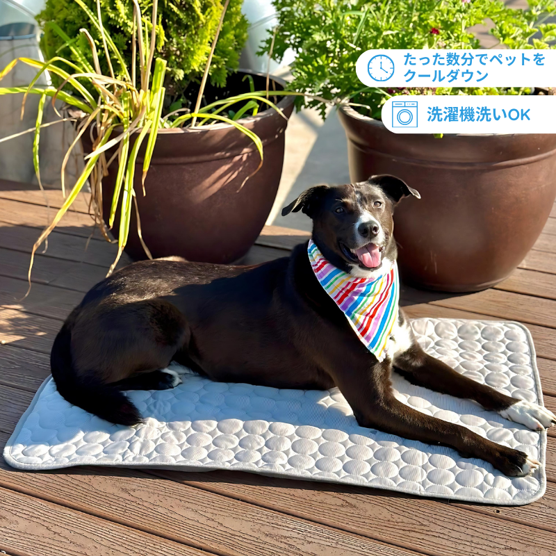 最高の犬用クールマット - MrFluffyFriend™