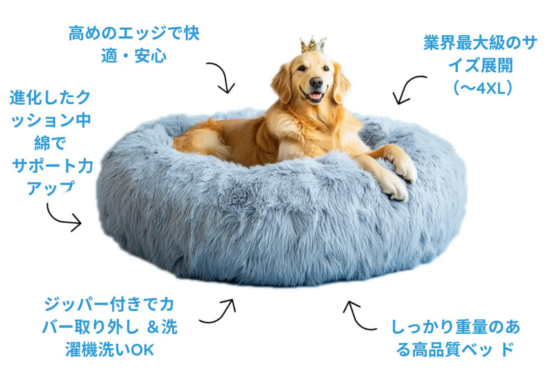 と呼ばれる<strong>5</strong>つの理由