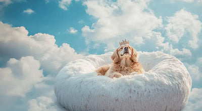 Hero Background Image